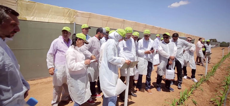Syngenta Maroc