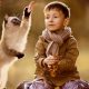 Zootherapie Maroc