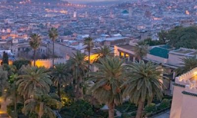 FES