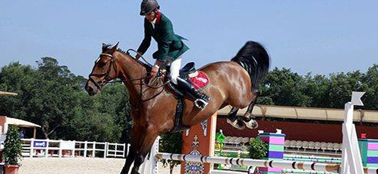 SEMAINE CHEVAL