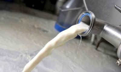 lait 1