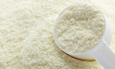 lait poudre