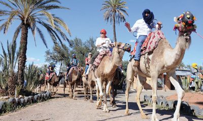 Tourisme Marrakech
