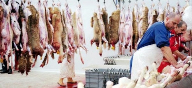 abattoir ouverture