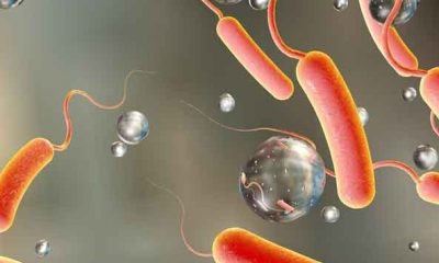 cholera