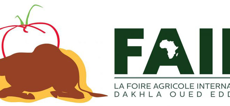 Foire dakhla