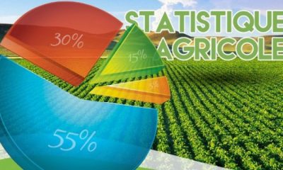 formation alimentaires statistiques agricoles 660x330
