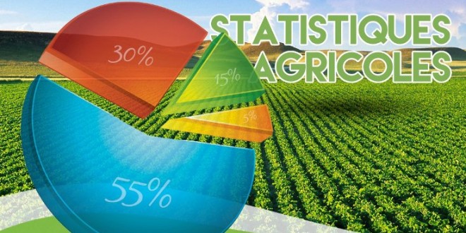 formation alimentaires statistiques agricoles 660x330
