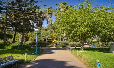 vallee des oiseaux 4 770x356