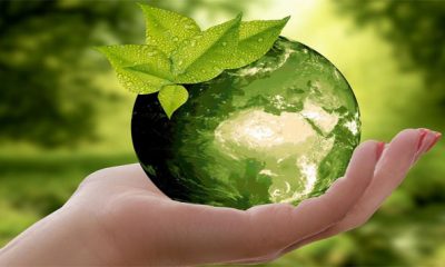 COP24 MAROC