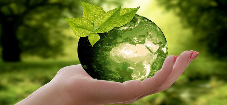 COP24 MAROC
