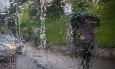 PLUIE