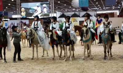 salon du cheval el jadida