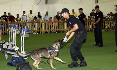 DGSN dressage chiens