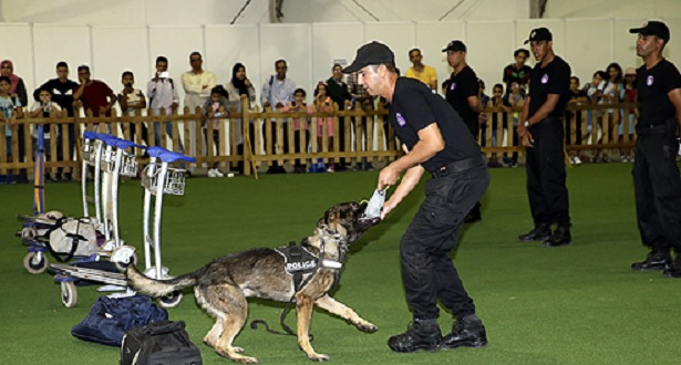 DGSN dressage chiens
