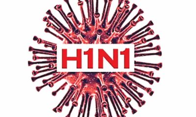 h1N1