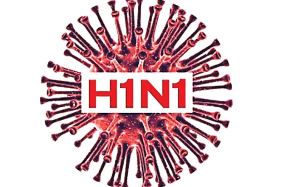 h1N1