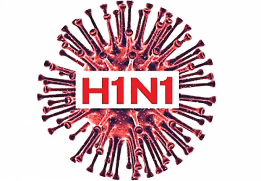 h1N1