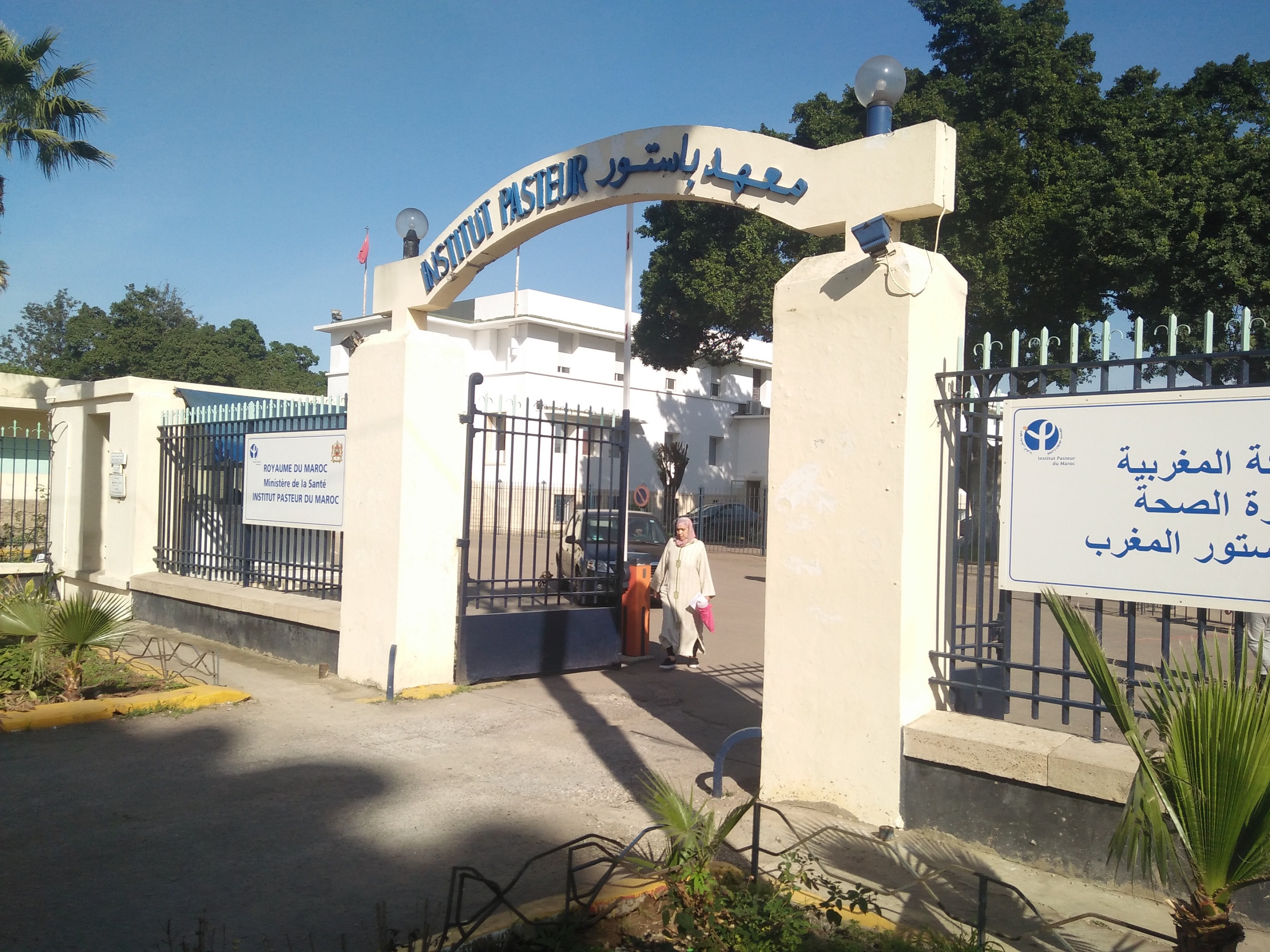 Pasteur
