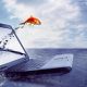 peche innovation halieutis