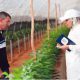 Accompagnement des agriculteurs
