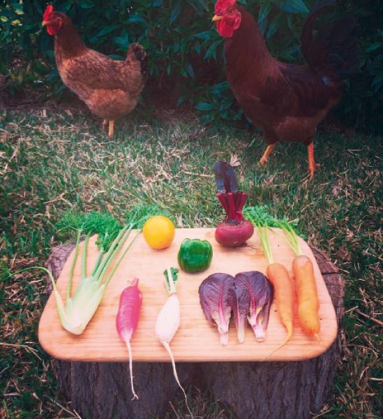 Agriculture biologique