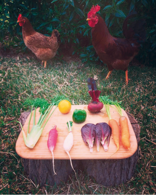Agriculture biologique