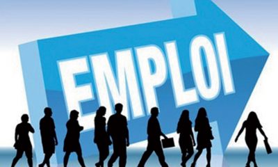 Emploi