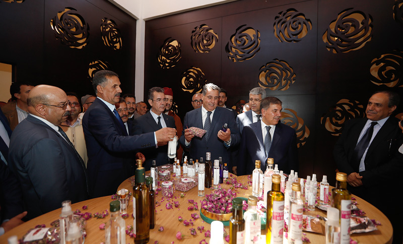 Kelaat MGouna ROSE