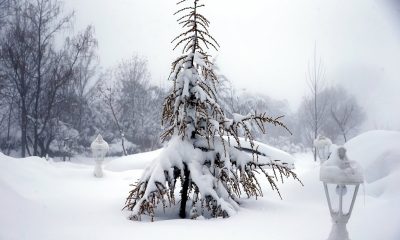 Neige MAROC