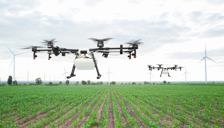 Futur de l’agriculture au Maroc
