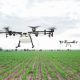 Futur de l’agriculture au Maroc