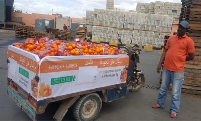 Oranges Agrumes Agadir Delassus