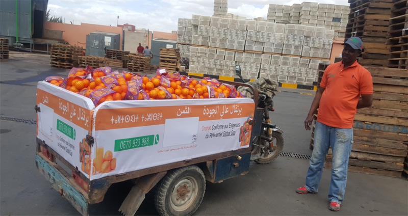 Oranges Agrumes Agadir Delassus