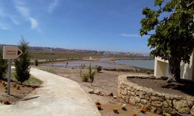 Site archeologique de Lixus