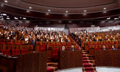 Amazigh Loi Votee Parlement 2019