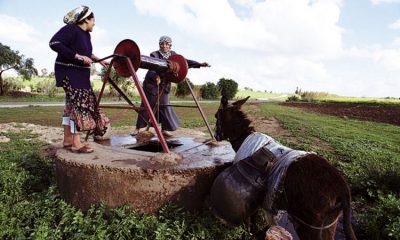 Developpement rural