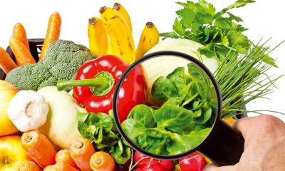securite des aliments