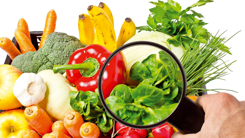 securite des aliments