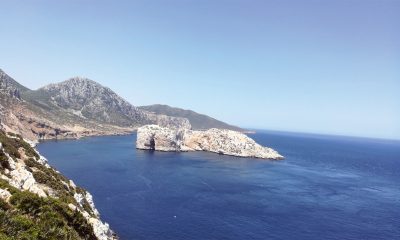 Tamuda Bay belyounech