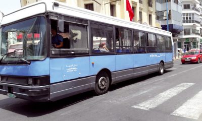 Mdina Bus CASABLANCA