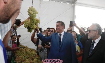 festival Raisin Benslimane