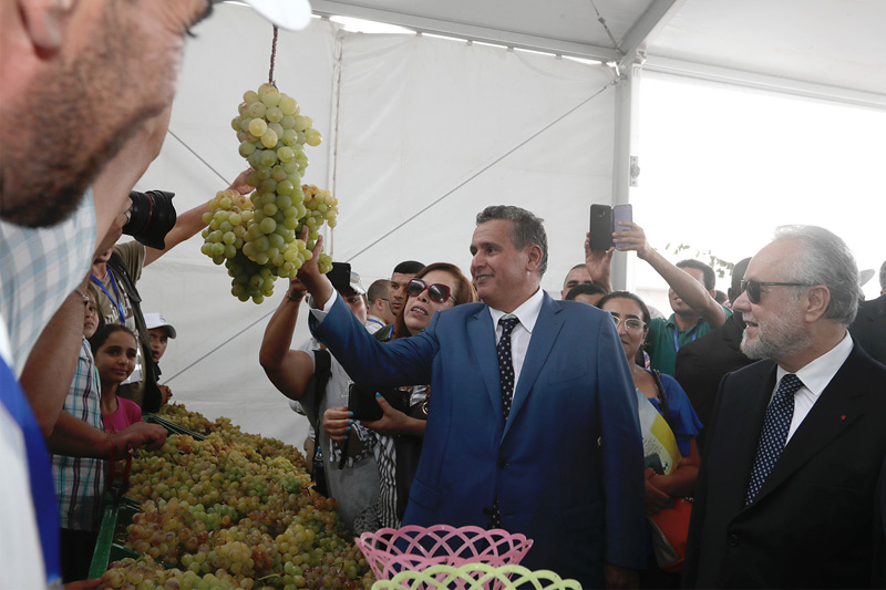 festival Raisin Benslimane