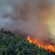 chefchaouen feu forets