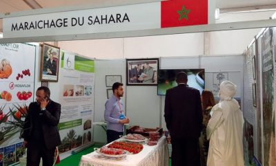 Foire agricole internationale de Dakhla