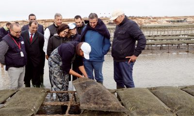 Dakhla Aquaculture