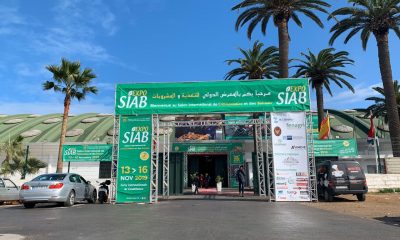 SIAB EXPO 2019