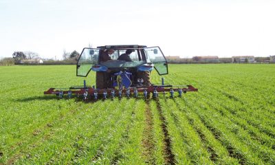 Agriculture