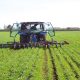 Agriculture