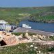 mort de poissons au barrage Ahmed El-Hansali